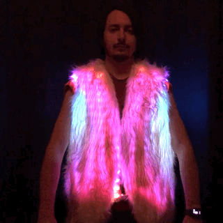 Vest